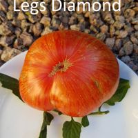 Legs Diamond